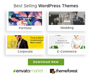 Best WordPress Themes